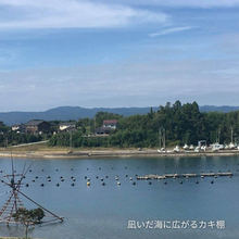 画像をギャラリービューアに読み込む, 能登の凪いだ海に広がるカキた棚